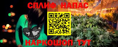 прущие крисы Малгобек