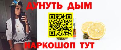прущие грибы Кандалакша