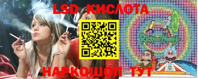 прущие грибы Кандалакша