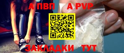 прущие грибы Кандалакша