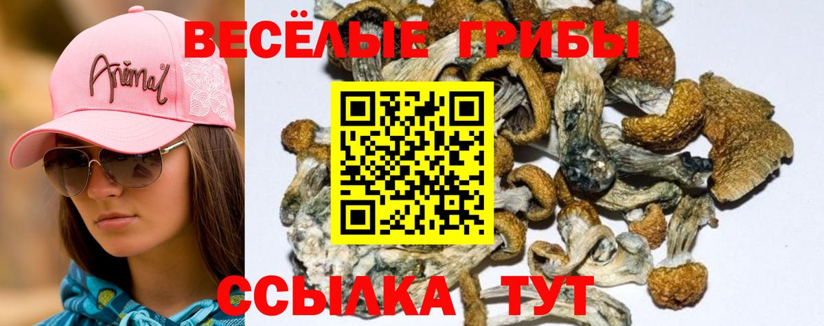 Чусовой  Галлюциногенные грибы мухоморы  Галлюциногенные грибы ЛСД  Вход с VPN 